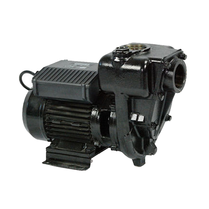 Piusi E300 Diesel Pump 240V AC 550lpm F00321000